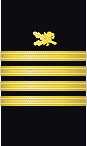 Sleeve insignia