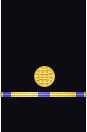 Sleeve insignia