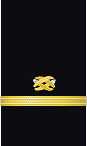 sleeve insignia