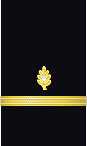 Sleeve insignia