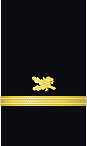 Sleeve insignia