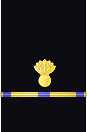 Sleeve insignia