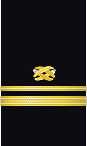 sleeve insignia