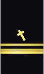 sleeve insignia
