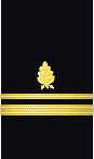 sleeve insignia