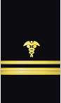 sleeve insignia