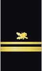 Sleeve insignia