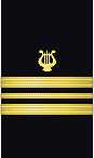 sleeve insignia