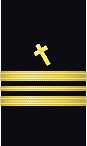 sleeve insignia