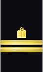 sleeve insignia