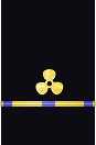Sleeve insignia
