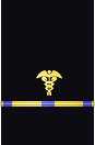 Sleeve insignia