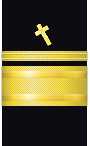 sleeve insignia