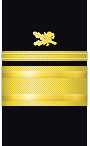 Sleeve insignia