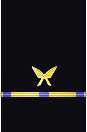 Sleeve insignia