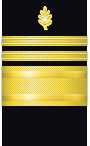 Sleeve insignia
