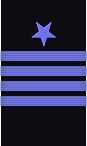 sleeve insignia