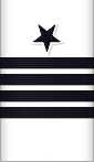 sleeve insignia