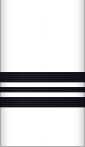 sleeve insignia