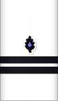 sleeve insignia
