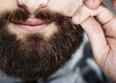 Neither myth nor exaggeration—beards can contain more germs than a dog—and here's how you can avoid it