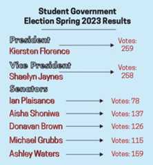 stu gov voting numbers