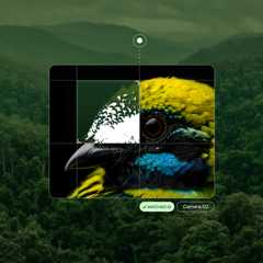 A close-up of a colorful bird’s head is overlaid on a rainforest background, with a digital interface showing a matched ID from camera 02.