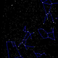Animated view