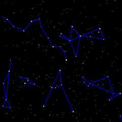 Animated view