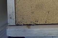 Fecal spot