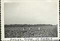 Picking cotton in Georgia 1943