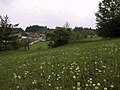 Rain in Riebeis