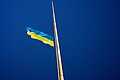 Flag of Ukraine (photo)
