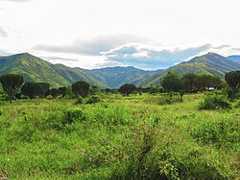4th: Songora, origin of the Basongora clan among the Bakonzo people of Western Uganda