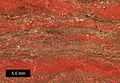 Banded Iron Formation specimen from Upper Michigan.