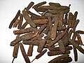long pepper (Piper longum)