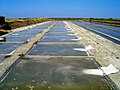 Salt evaporation pond (Île de Ré)