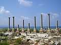 Palaestra columns at Al Mina