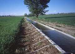 Agricultural irrigation