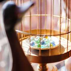 A group of dusty balls with shallow depth of field, by the window. Soft window light. Foreground is a vintage golden cage and a miniature duck home decoration. (Bangkok, Thailand - Jan 2025) by enchanted_fairy for Oval Photo Contest by Wikimedia