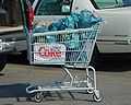 Full shopping cart of groceries
