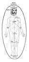 The Sephirot in the Human soul and body, Adam Kadmon containing the future souls of mankind