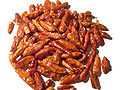 piri piri (Capsicum frutescens)