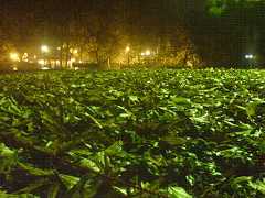 Gheytariye Park, Tehran, Iran.