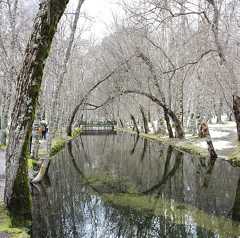 River and Trees - Serra da Estrela, Portugal