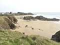 La plage de Kerrou vue des falaises qui surplombent son extrémité ouest 1.