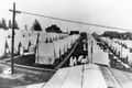rows of tents that had been set up on a lawn at Emery Hill in Lawrence, Massachusetts where victims of the 1918 influenza pandemic were treated.