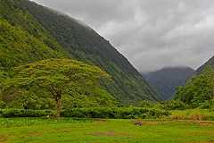 View of Waipio Valley