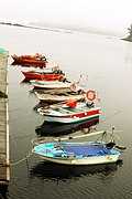 Botes en Cesantes