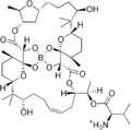 Boromycin penicillin